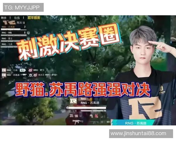 和平精英巨献揭秘RNG团队协作背后的默契与策略分析实时新闻